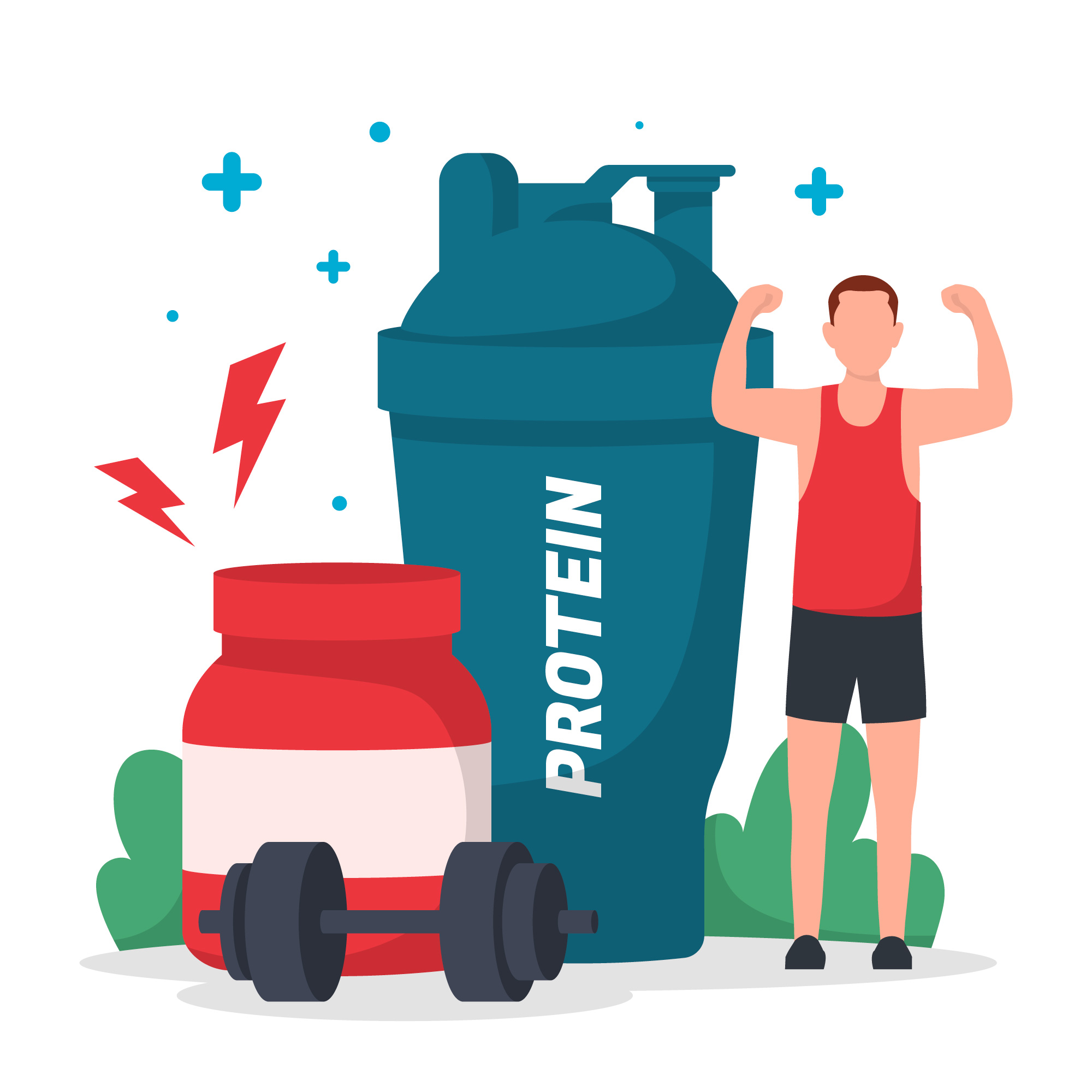 Easily Digestible, High Bioavailability Protein Supplement for Daily ...